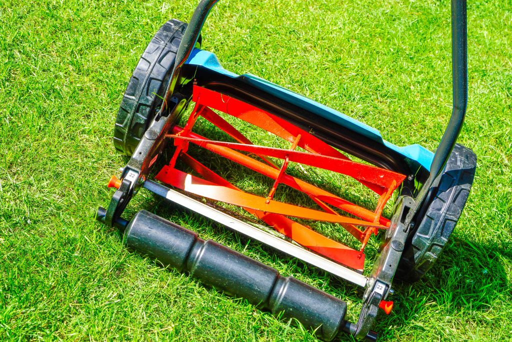 Lawn mower types Advantages and disadvantages at a glance Rasenspecht