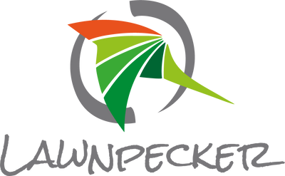 Rasenspecht