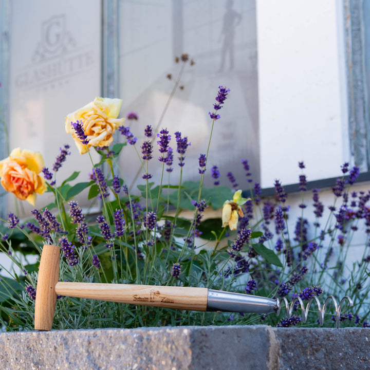 Dandelion remover