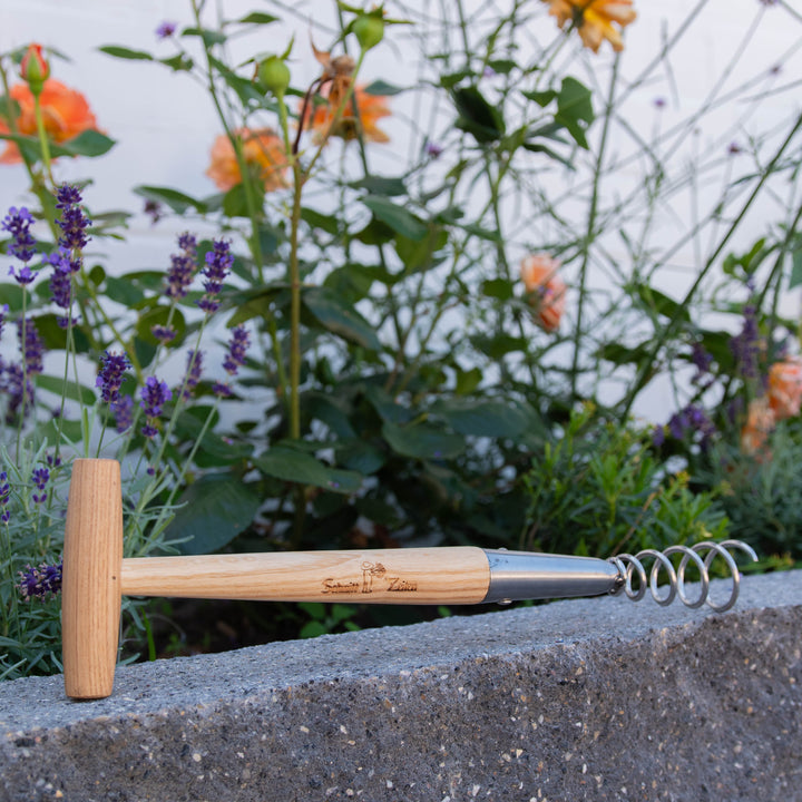 Dandelion remover