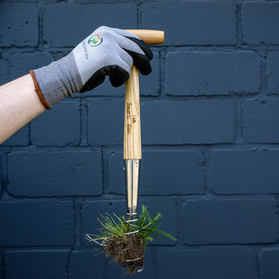 Dandelion remover